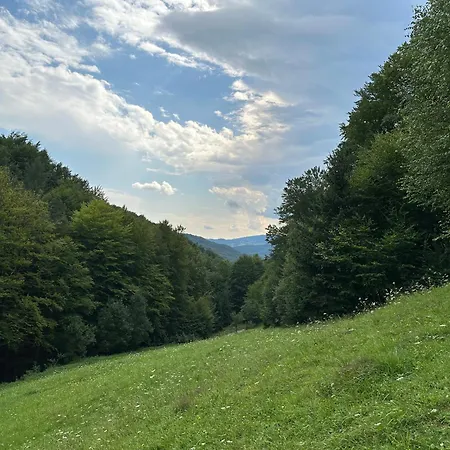 Apartmán Polana Lichoniowa - Jacuzzi *